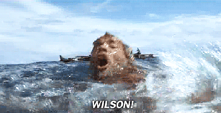 wilson