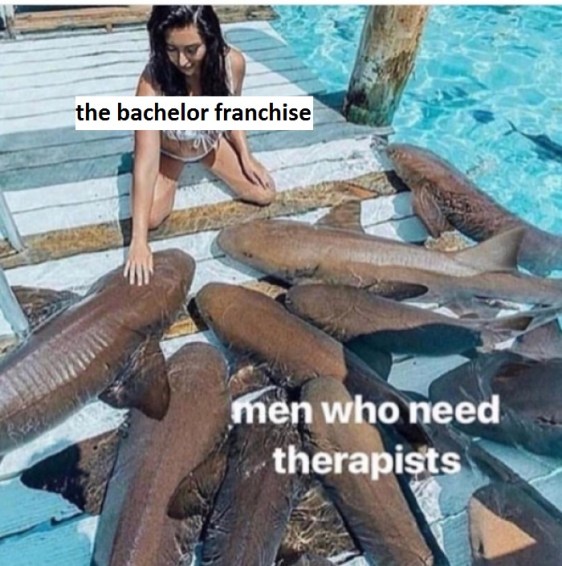 l-8628-me-vs-men-who-need-therapists